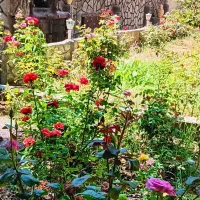 اجاره ویلا باغ|اجارهٔ کوتاه‌مدت ویلا و باغ|سنندج, |دیوار