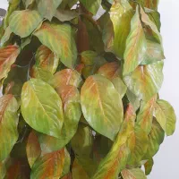 درخت مصنوعی با گلدون|گل مصنوعی|شیراز, بریجستون|دیوار