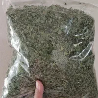 شنبلیله خشک