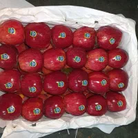 سیب قرمز اشنویه