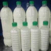 دارو گیاهی شپش مو صدرصد تضمینی