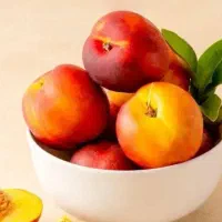 انواع نهال های پایه رویشی با بالاترین کیفیت