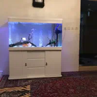 آکواریم دلسا k 1200  وفیلتر سطلی jbl ۱۵۰۲