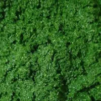 فروش انواع سبزی اماده با قیمت مناسب|خوردنی و آشامیدنی|اهواز, کوی مندلی(سه راه خرمشهر)|دیوار