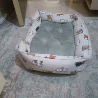 تشک خواب سگ