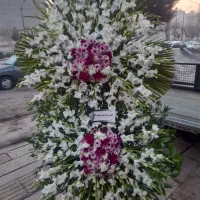 پخش تاج گل وماشین عروس دسته گل ۱۳۰۰تومن