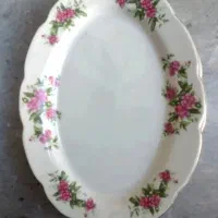 دیس گل سرخ نو