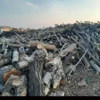 خرید چوب به قیمت خوب