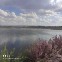 12 هکتار زمین یکجا در خرمدشت