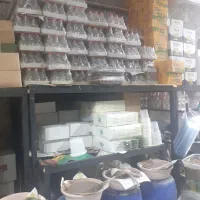 پخش ترشیجات|خوردنی و آشامیدنی|مشهد, کارمندان دوم|دیوار