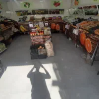 قفصه میوه و تره بار