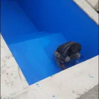 فروش و نصب ویژه ایزوگام دلیجان به قیمت کارخانه|خدمات پیشه و مهارت|رباطکریم, رباطکریم|دیوار