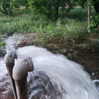 زمین باغشهری جاده صدرا