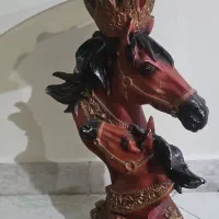 کنارسالنی اسب