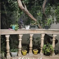 اجاره-مسکونی