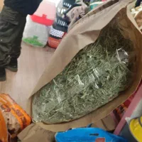 یونجه،یونجه هویج،بستر خرگوش،پلت|لوازم جانبی حیوانات|مشهد, رستگار|دیوار