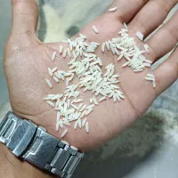 برنج صدری  اصیل