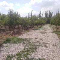 ۳۰۰مترباغچه دردماوندجابان سندتک برگ|فروش زمین و ملک کلنگی|تهران, افسریه شمالی|دیوار