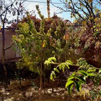 ویلایی کرمجگان|فروش خانه و ویلا|کهک, |دیوار