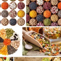 خرید و فروش انواع حبوبات لوبیا عدس نخود چیتی ماش