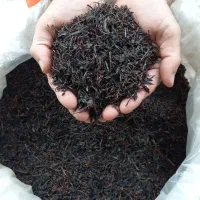 فروش چای بهاره وزین چای املش