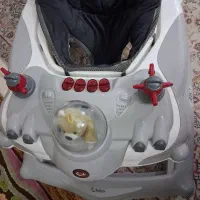 روروئک دسته دار موزیکال