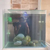اکواریوم شیشه خم