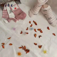 جوراب مچی زنانه|لباس|سقز, |دیوار