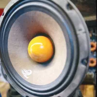 سیستم صوتی مانیتور اقساطی ۲ تا ۸ ماه بدون پیش|قطعات یدکی و لوازم جانبی|تبریز, |دیوار