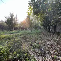 زمین مسکونی دور دیوار بازدیدکنید انتخاب قطعی شماست|فروش زمین و ملک کلنگی|خمام, |دیوار