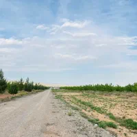 زمین-باغی-1هکتاری-برای-سرمایه-گذاری-شاهنامه-دیاکو