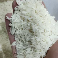 برنج طارم هاشمی قیمت مناسب