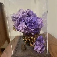 گل سنبل جاودان