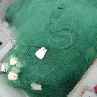 تور ماهیگیری