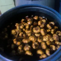 با سلام سیر ترشی تازه وقدیمی