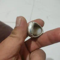 شجر|بدلیجات|مشهد, آزادشهر|دیوار