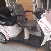 موتور سه چرخ برقی