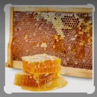 عسل طبیعی   به شرط