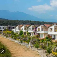 زوج سرایدارایرانی بدون فرزند بالای سی سال