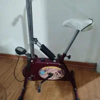 دوچرخه ثابت