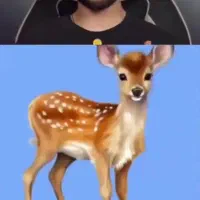 فالوور اینستا