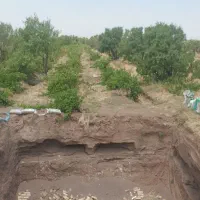 باغ انگور۲۵۰۰متری پلاک ۱کوچه باغ بحرکانال و اتوبان