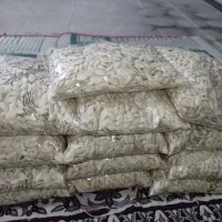 تخمه کدو خام