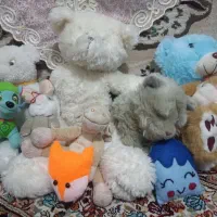 عروسک|اسباب‌بازی بچه|بیرجند, |دیوار