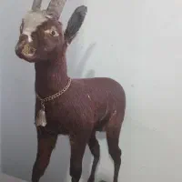 مجسمه حیوان طبیعی