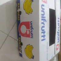 کارتن موزی