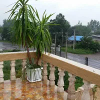 ملک تجاری|فروش مغازه و غرفه|رشت, بیجارپس|دیوار