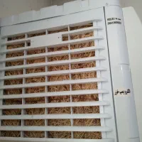 کولرآبی|کولر آبی|اردبیل, |دیوار
