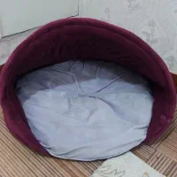 جای خواب سگ و گربه|لوازم جانبی حیوانات|اهواز, شهرک نفت|دیوار