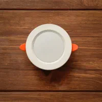 بک لایت (هالوژن)(چراغ تو کار)